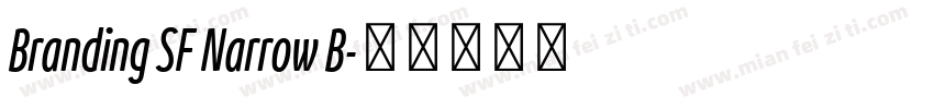 Branding SF Narrow B字体转换